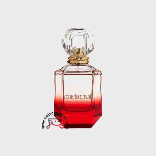 عطر ادکلن روبرتوی پارادایسو اسولوتو